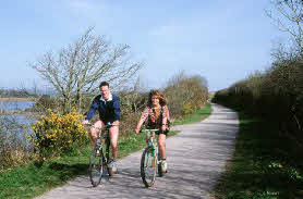 Cycling on the Camel Trail Cycling on the Camel Trail