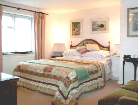 Bedroom with en-suite shower and a king-size bed