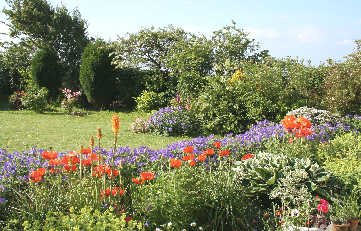 A fragrant and colourful corner of the garden