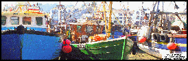 Mevagissey Fishing Boats (c) Glen Forster